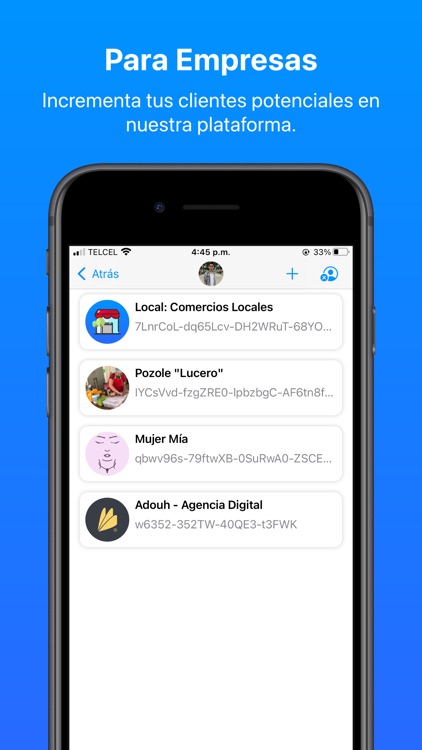 Local: Comercios Locales screenshot-3