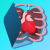 Anatomia Humana - EvoBooks - EvoBooks