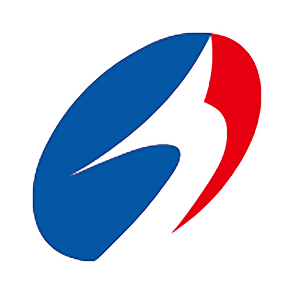 华龙集团logo图片