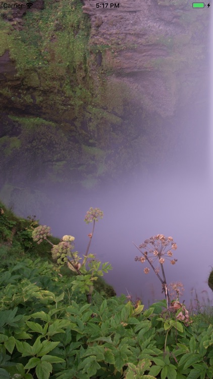 Photosane - Photo manager PRO screenshot-5