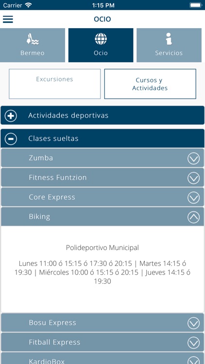 Bermeoko Udala screenshot-3