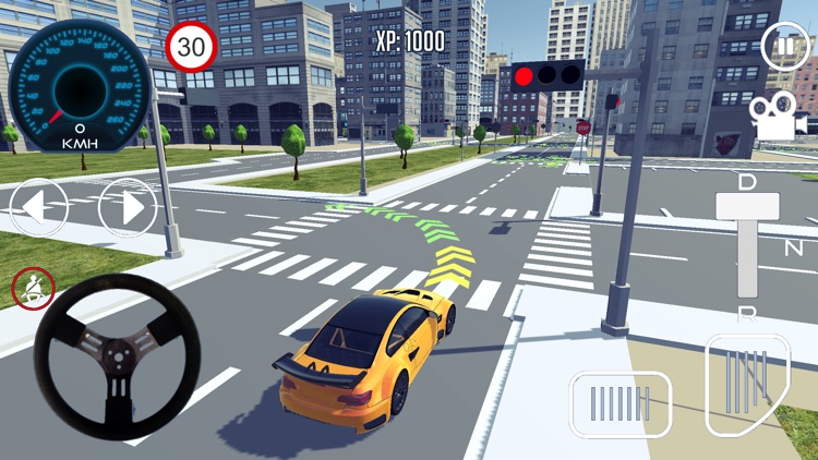 Driving School 3D Simulator screenshot-3