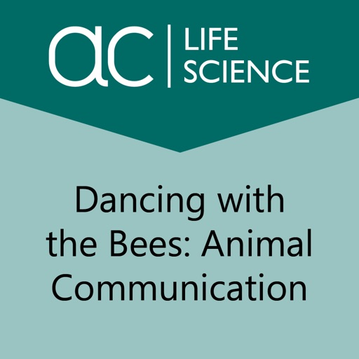 Dancing with the Bees icon