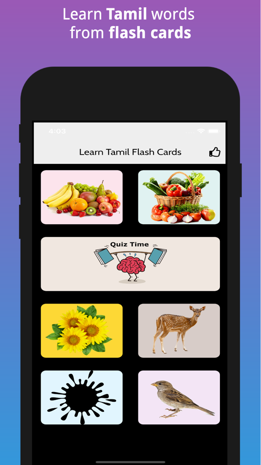 Learn Tamil FlashCards - 1.0.4 - (iOS)