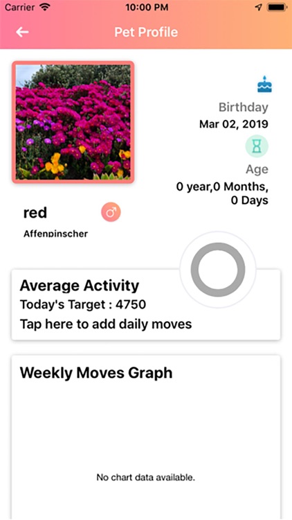 PetFiestas screenshot-3