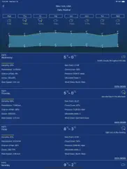 прогноз погоды & виджет pro айпад изображения 2
