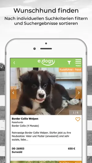 edogs screenshot 2