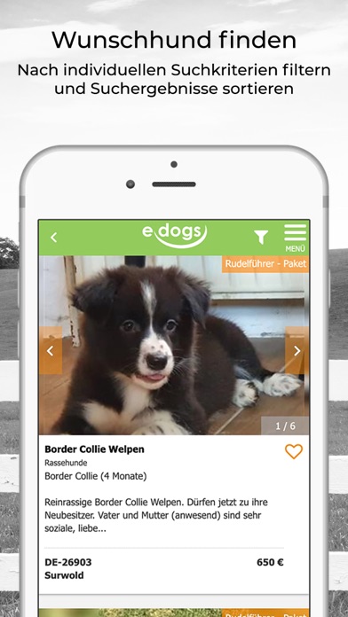 edogs screenshot