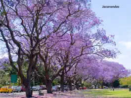 Game screenshot Silver Memories hack