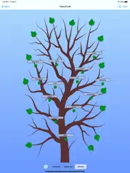 Tree of Life - Family Tree ipad bilder 2