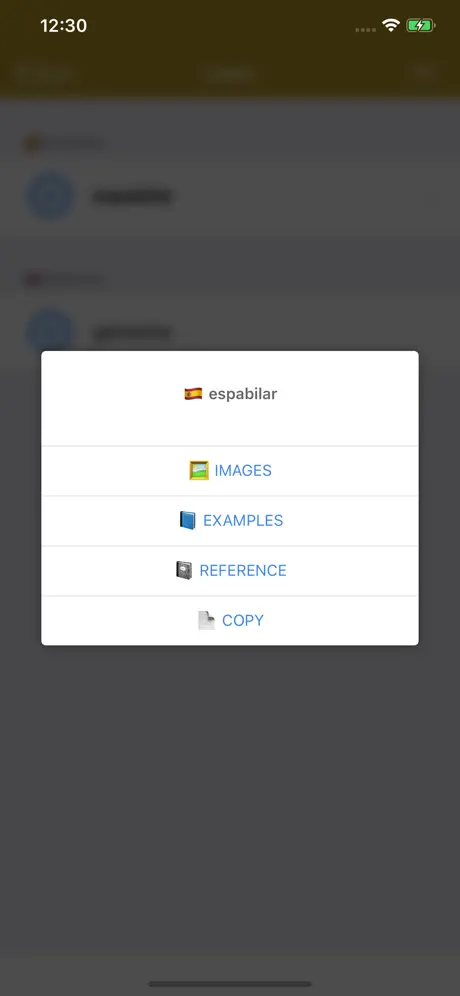 Spanish Dictionary - offline