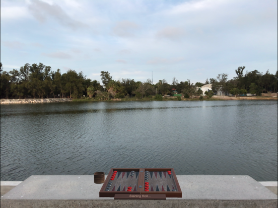 Screenshot #5 for AR Backgammon+