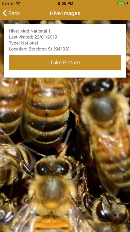Apiarist 2019 screenshot-4