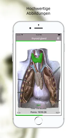 Screenshot von Anatomie Quiz Premium auf dem iPhone 6