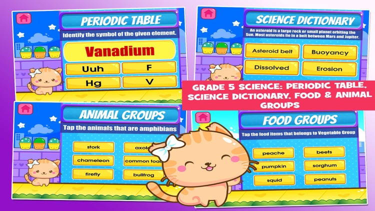 Fifth Grade School Games: Cats