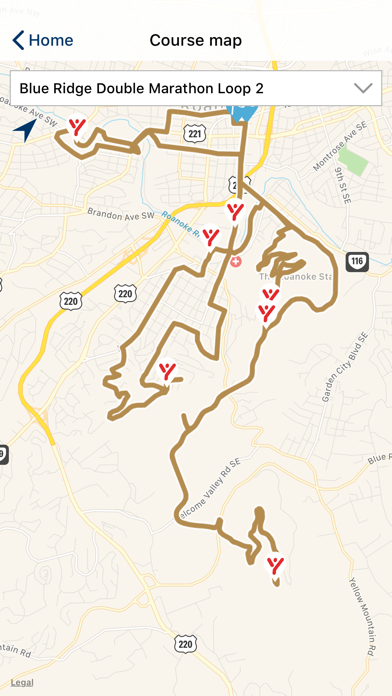 Blue Ridge Marathon screenshot 2