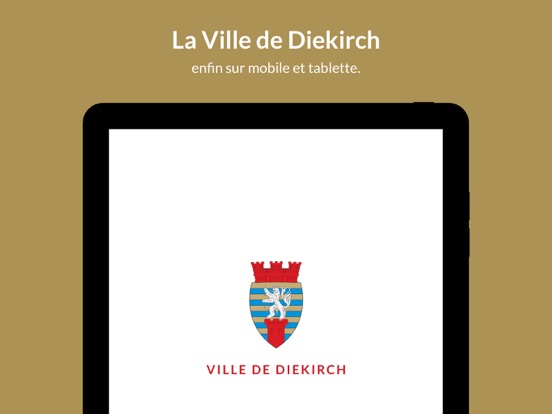 Screenshot #4 pour Ville de Diekirch