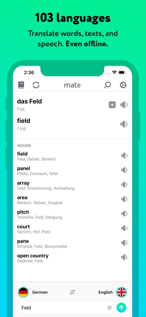 Language Translator by Mate - The app demonstrates its extensive 103-language support, allowing users to translate words and texts with visible phonetic transcriptions and multiple noun translations.