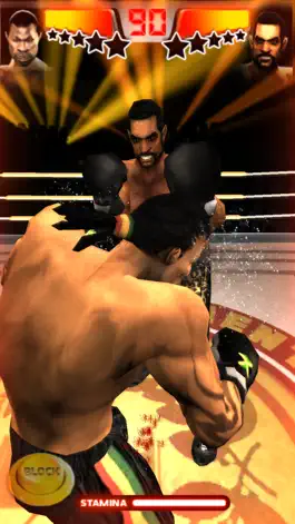 Game screenshot Iron Fist Boxing Lite hack