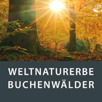 Weltnaturerbe Buchenwälder Avis
