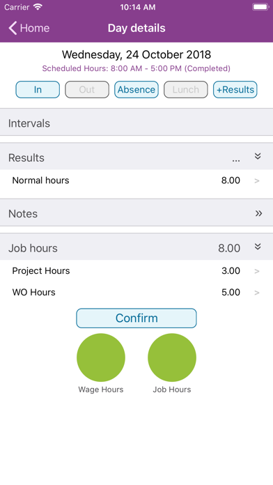 IFS Time Tracker 10 Screenshot