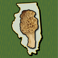 Illinois Mushroom Forager Map