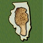 Illinois Mushroom Forager Map! app download