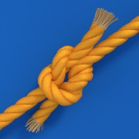 Untie The Knot! pour PC