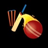 Crickicker icon