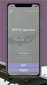 B737CL Questions iphone resimleri 1