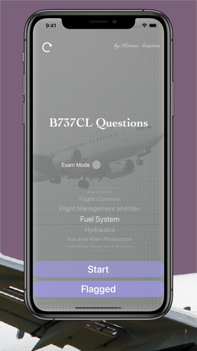 B737CL Questionsのおすすめ画像1