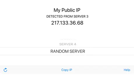 My Public IP