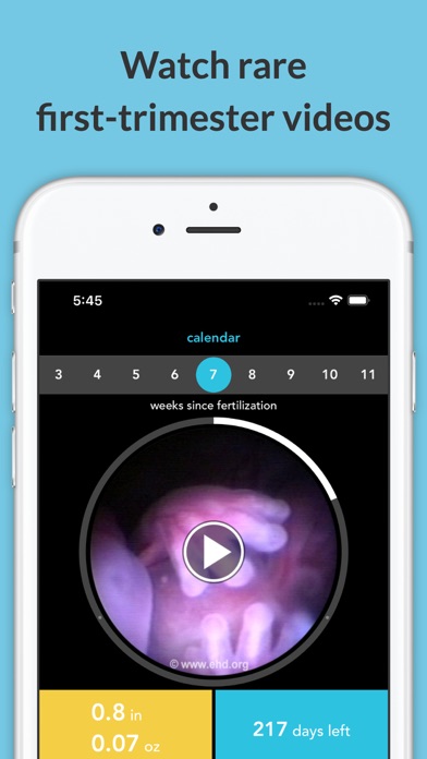 MyBaby Pregnancy Guide Screenshot