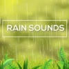 Rain Sounds* icon
