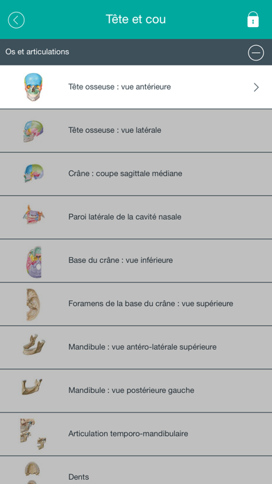 Mémofiches Anatomie Netter Screenshot