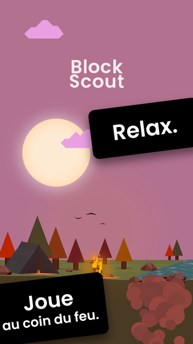 Screenshot #1 pour Block Scout