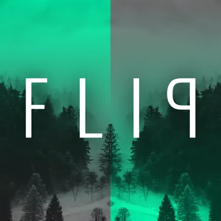 Dark FX - Flip Photo Collage Читы