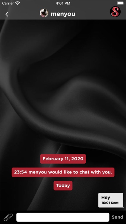 Silk Encounters screenshot-6