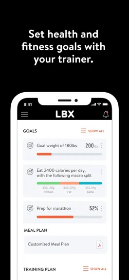Game screenshot LBX by Lee Brothers MMA hack