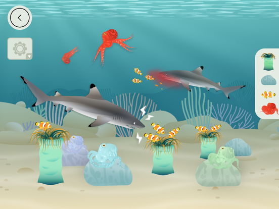 Screenshot #4 pour Les Récifs Coralliens-Tinybop
