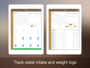 Daily Carb for iPad screenshot 3