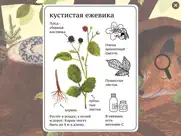 Энциклопедия Мышки айпад изображения 2