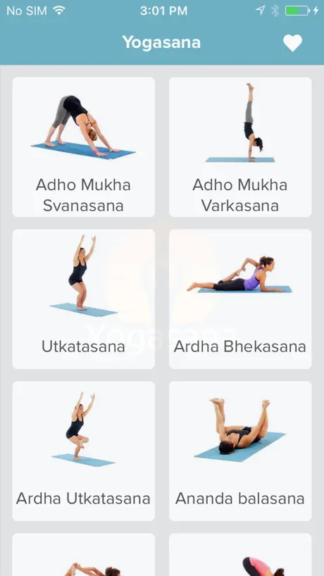Daily yoga poses