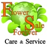 FlowerSale Care And Service