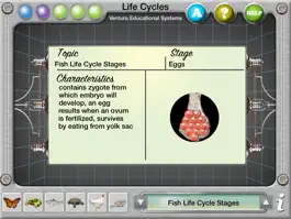 Game screenshot Interactive Life Cycles hack