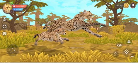 WildCraft: Wild Sim Online - La aplicación permite a los jugadores encarnar guepardos y explorar vastos paisajes de sabana, caracterizados por el pastizal amarillo y los árboles de acacia.