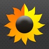 Sunfollower icon