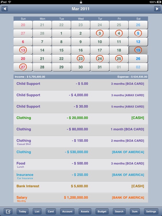 Ace Money Lite "for iPad"