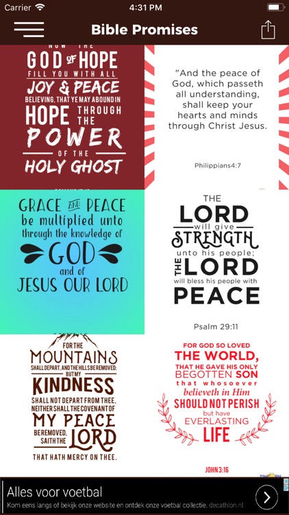 Bible Promises - God's Promise screenshot-3