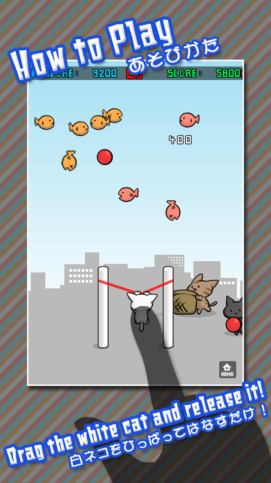 Cat Shot - 3.3.2 - (iOS)